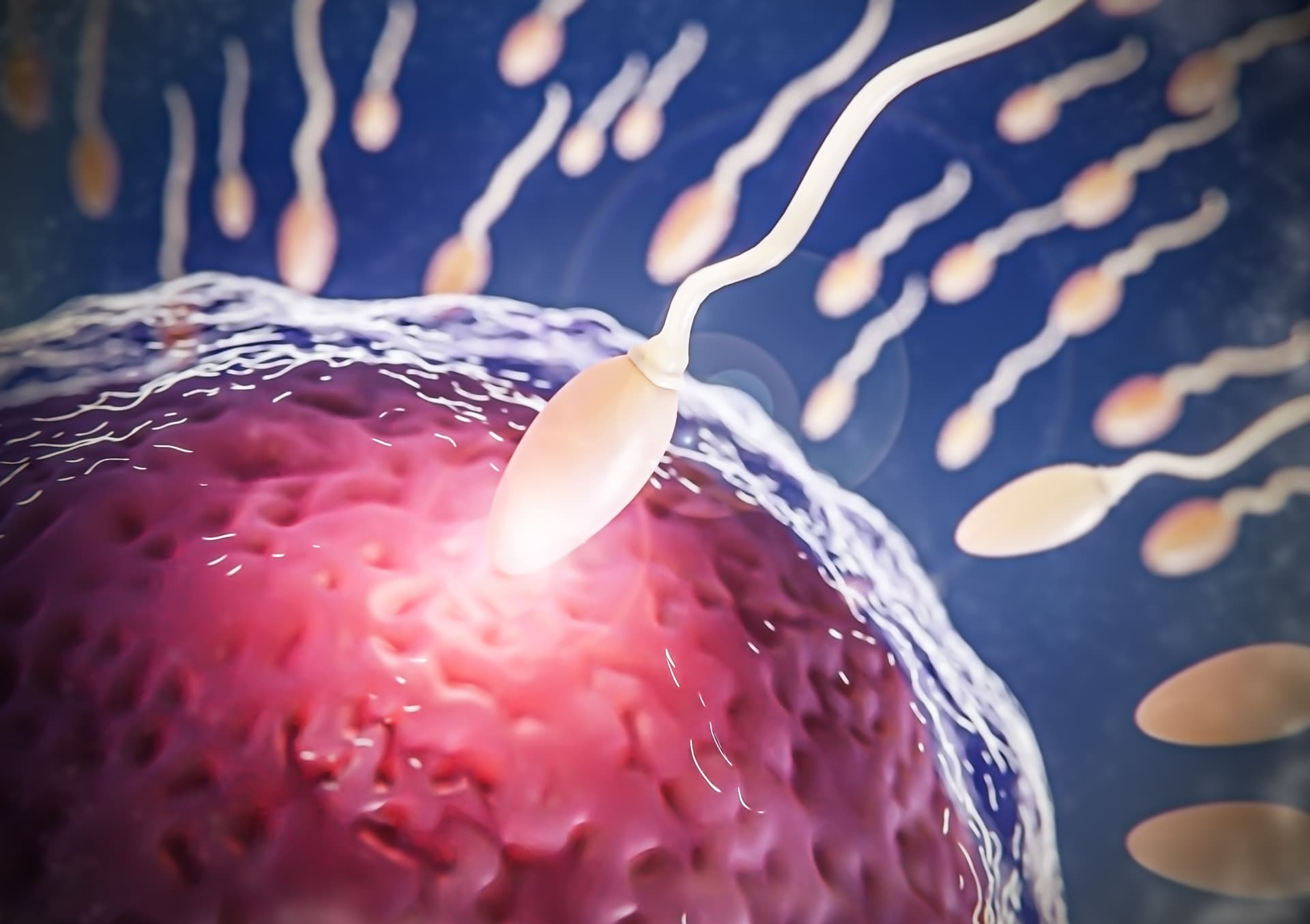IVF Treatment